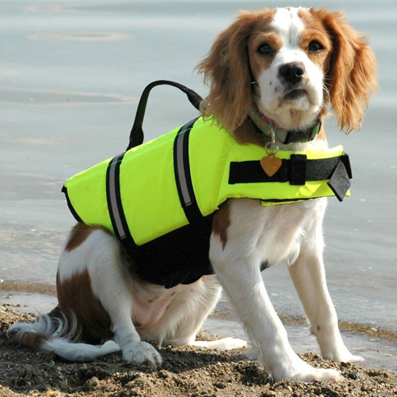Pet Dog Life Jacket Safety Clothes for Pet Life