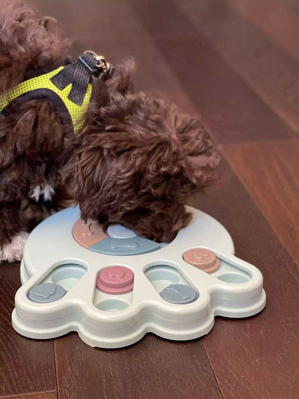 New Interactive Toy IQ Training Pets Slow Feeder Bowl Puzzle Eating