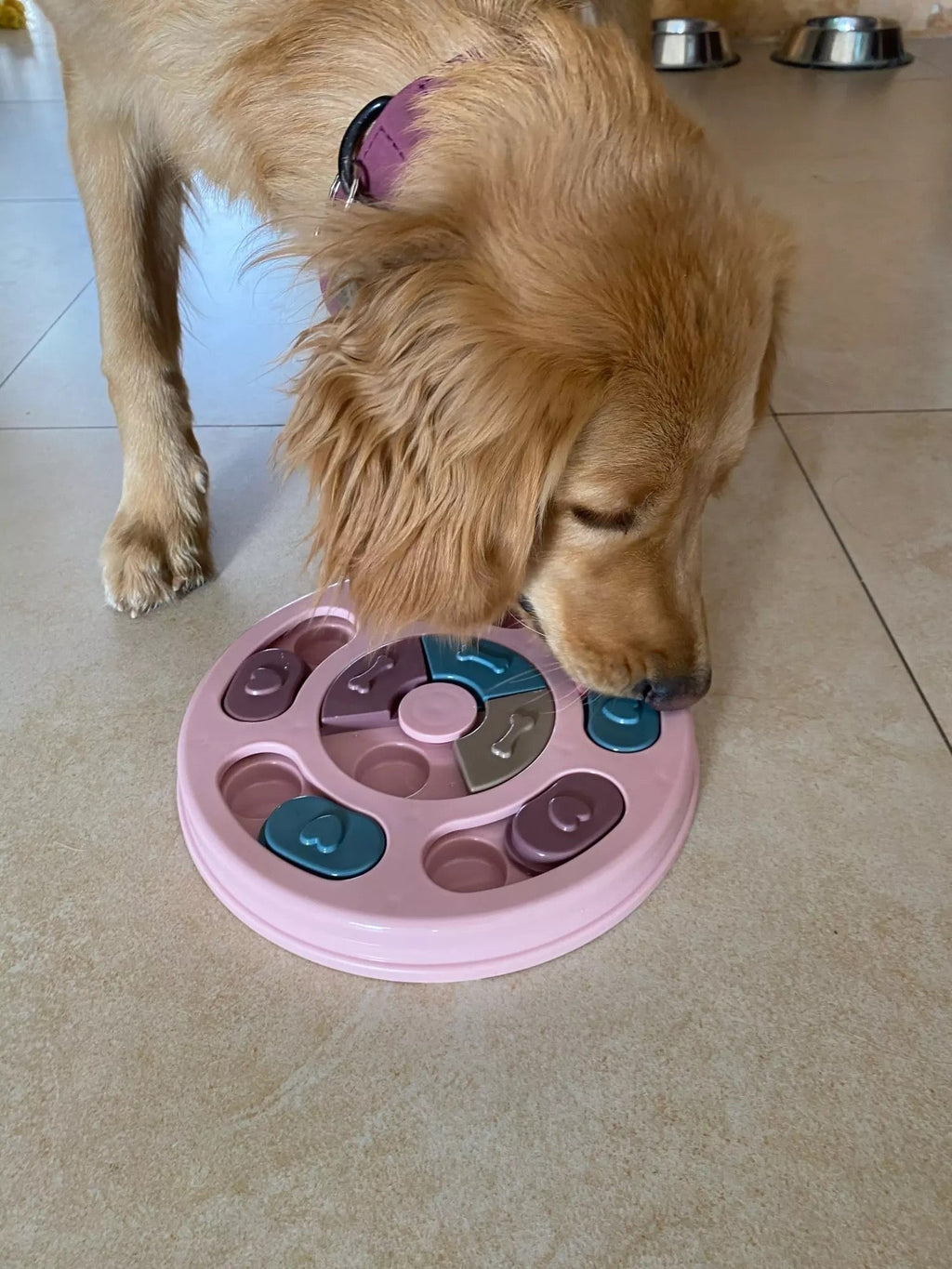 New Interactive Toy IQ Training Pets Slow Feeder Bowl Puzzle Eating
