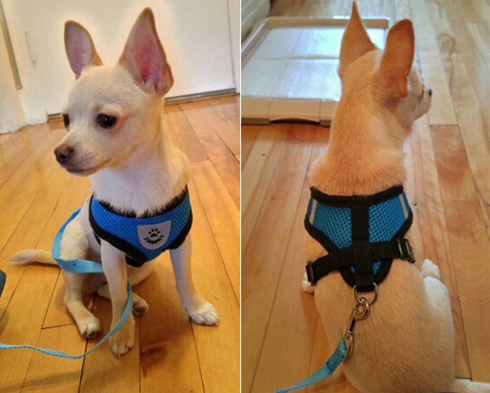 Breathable Mesh Small Dog Pet Harness and Leash