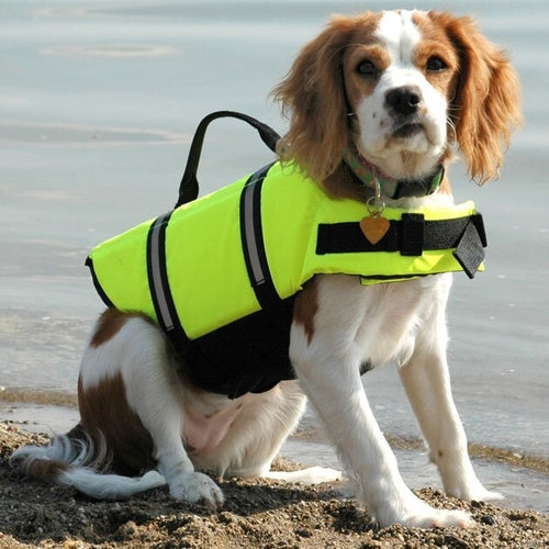 Pet Dog Life Jacket Safety Clothes for Pet Life