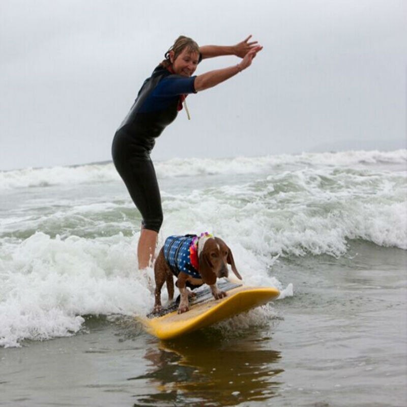 Pet Dog Life Jacket Safety Clothes for Pet Life