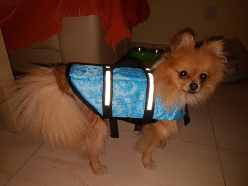 Pet Dog Life Jacket Safety Clothes for Pet Life