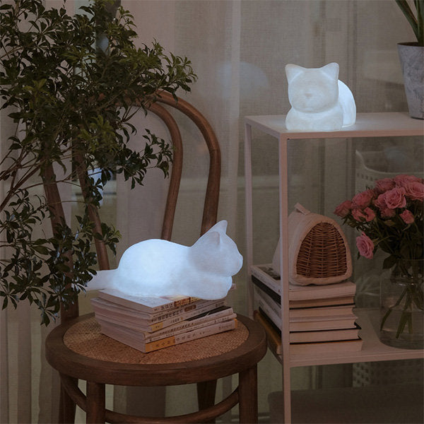 Soft Glow Cat Light