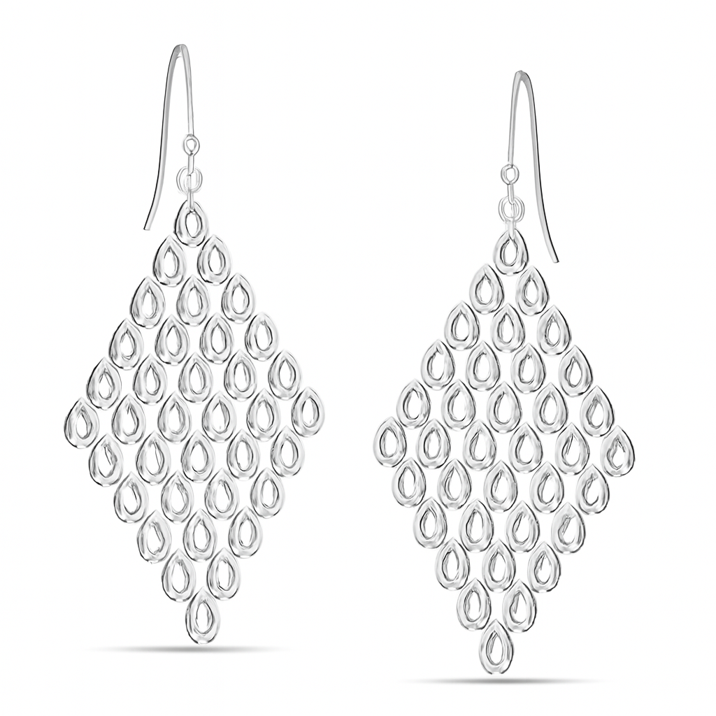Brass Silver Oxidised Plating Earring-D24